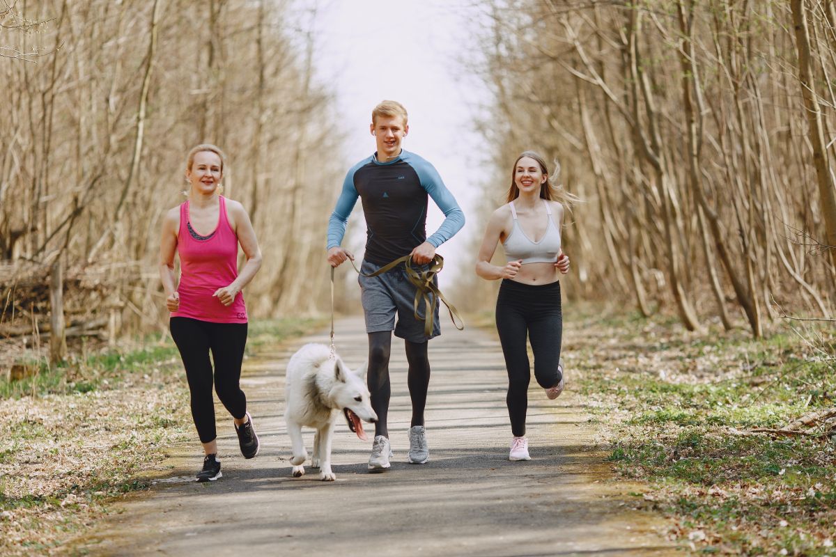 April is Canine Fitness Month