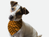 Go Retro 1930s Bandoggies® Pattern