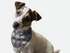 Go Retro 1940s Bandoggies® Pattern