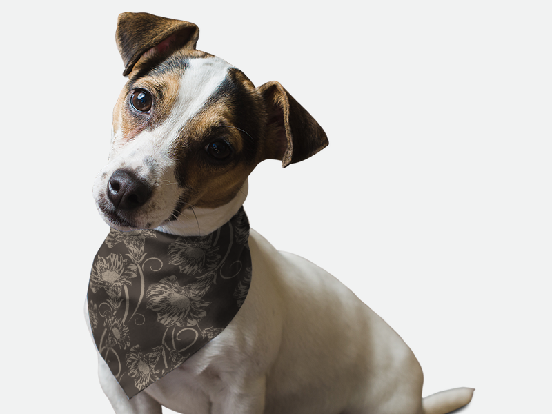 Go Retro 1950s Bandoggies® Pattern