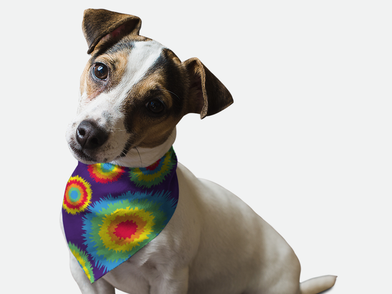 Go Retro 1970s Bandoggies® Pattern