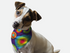 Go Retro 1970s Bandoggies® Pattern
