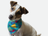Go Retro 1980s Bandoggies® Pattern