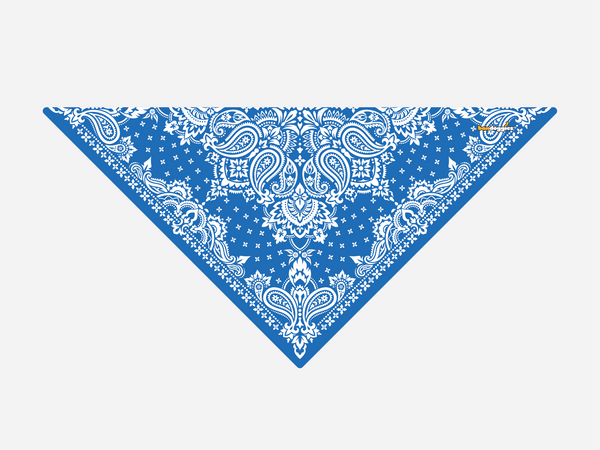Blue Paisley