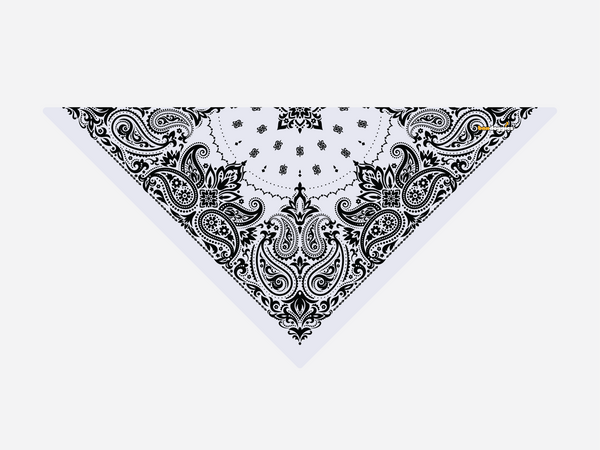 Grey Paisley