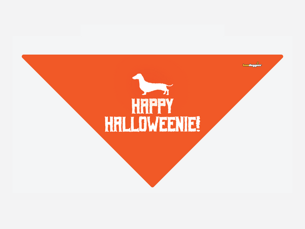 Happy Halloweenie!