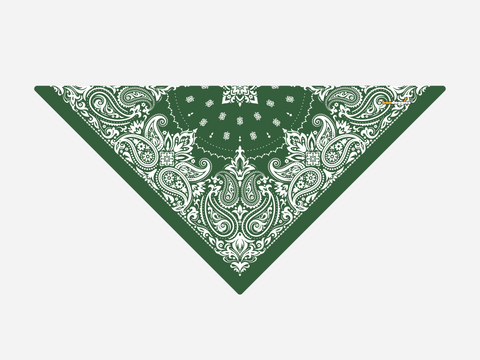 Hunter Green Paisley