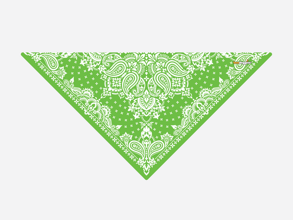 Kelly Green Paisley