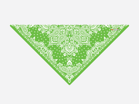Kelly Green Paisley