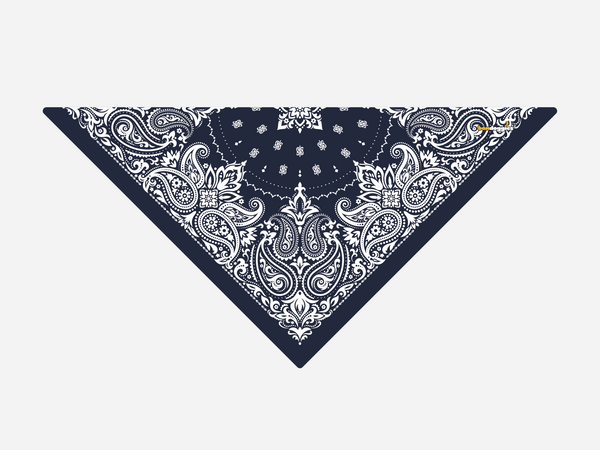 Navy Paisley