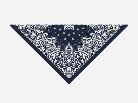 Navy Paisley