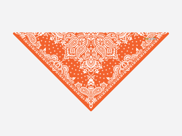 Orange Paisley