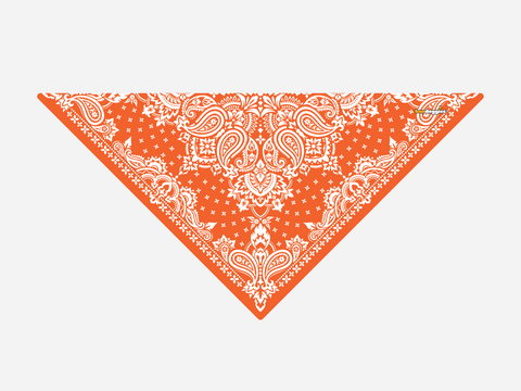 Orange Paisley