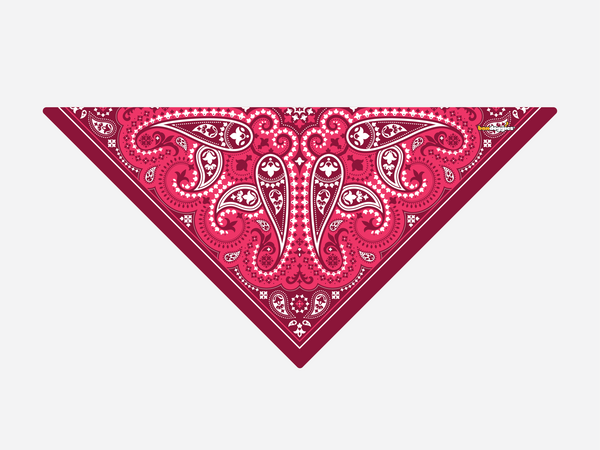 Pink Paisley