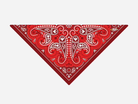 Red Paisley