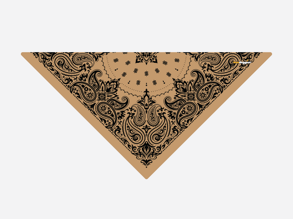 Sand Paisley