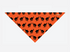 products/BanDoggies-ProductImages-ScaredyCat-01.png