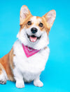 The Ultimate Guide to Choosing the Perfect Dog Bandana Design