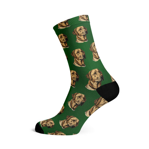 Socks | Bandoggies Socks | Bandoggies