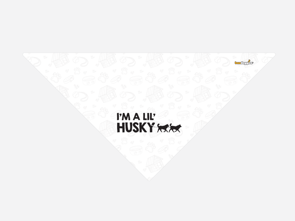 I'm a lil' Husky