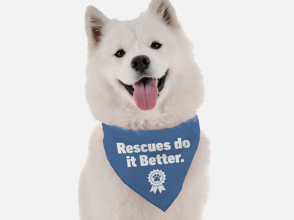 Rescues Do it Better