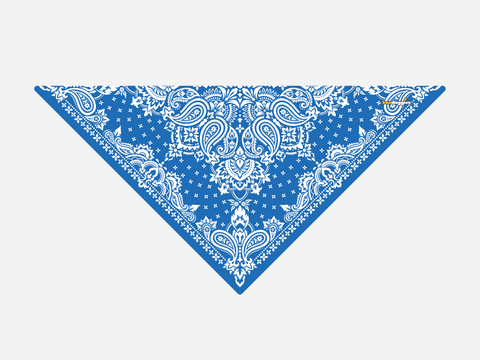 Blue Paisley