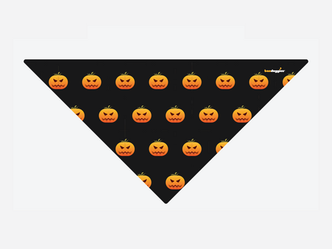 Head Full O' Pumpkin!