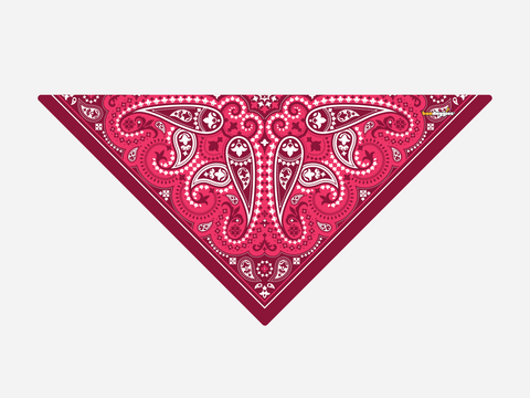 Pink Paisley