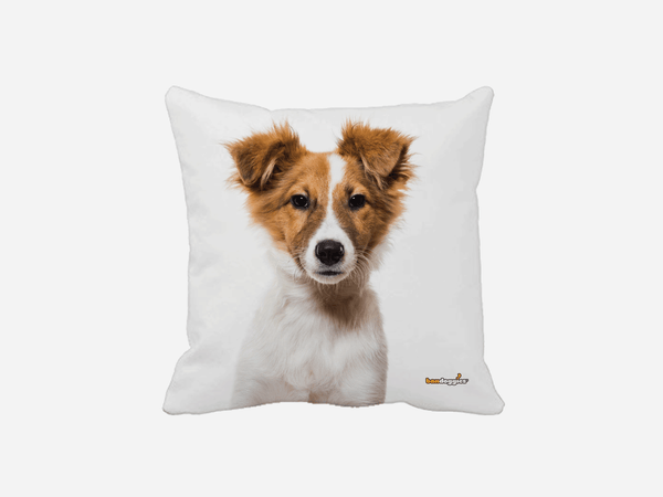 Australian Shepard Puppy Throw Pillow