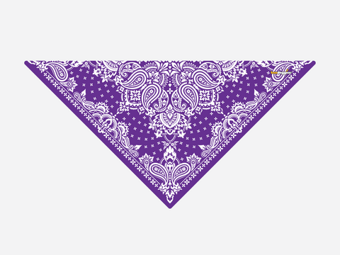 Violet Paisley